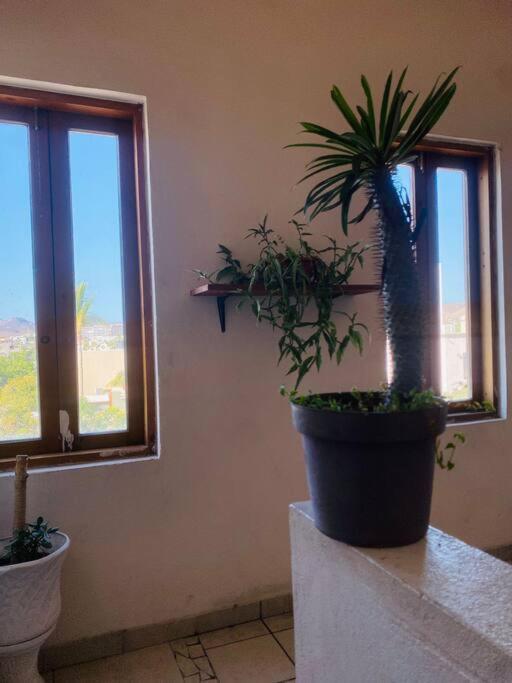 Casa Bahia 2 Blocks Malecon Amaizing Ocean View Lägenhet La Paz Exteriör bild